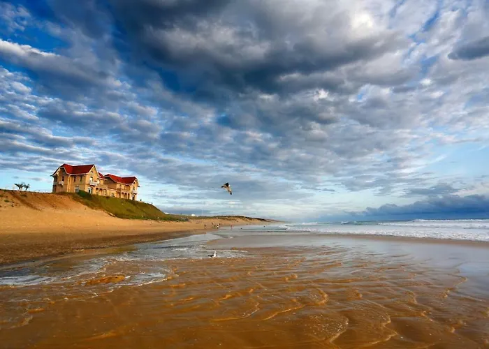 Le 225 Appartement Biscarrosse